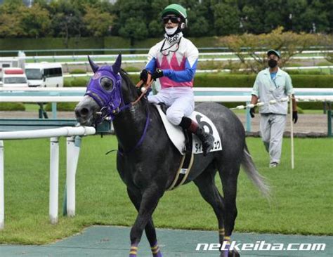 ダイゴシンリュウ (Daigo Shinryu) | 競走馬データ - netkeiba