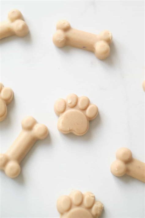 Can Dogs Eat Kefir? Discover The Benefits Of Kefir For Dogs | It's A Vizsla