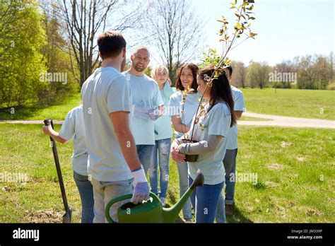 Tree-Planting Activity 的图像结果