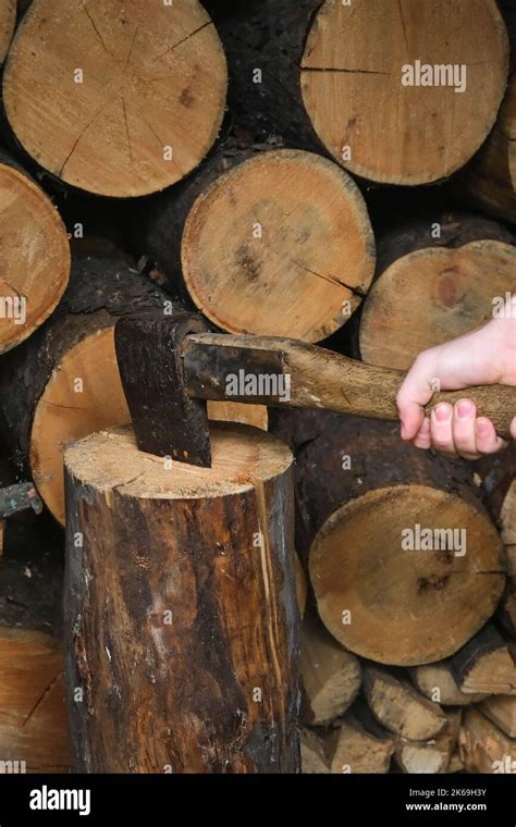 Image result for Using Grenade for Chopping Logs