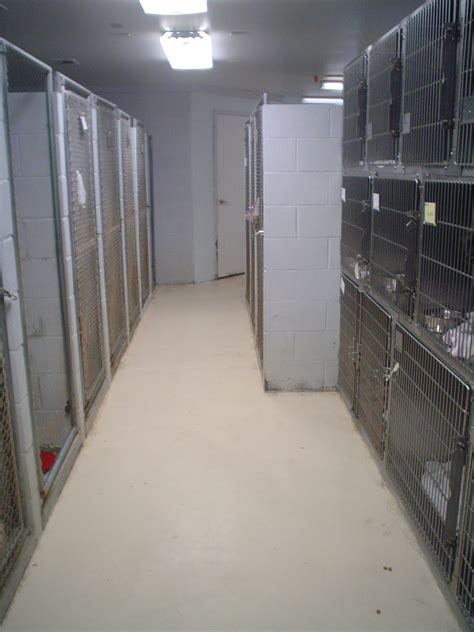 Cedar Animal Hospital