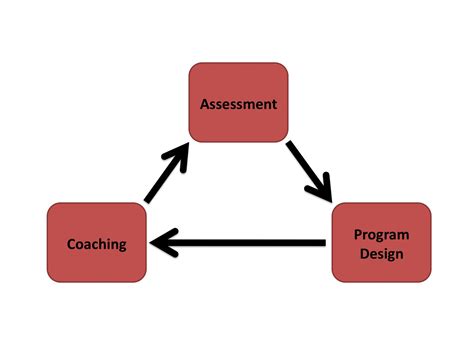Training Process 的图像结果