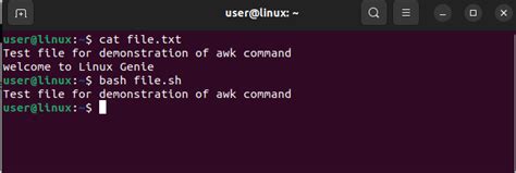 Image result for How to Use Awk in Bash Script