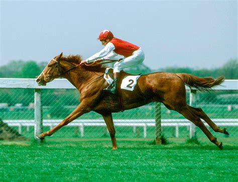 Image result for Pebbles Interview