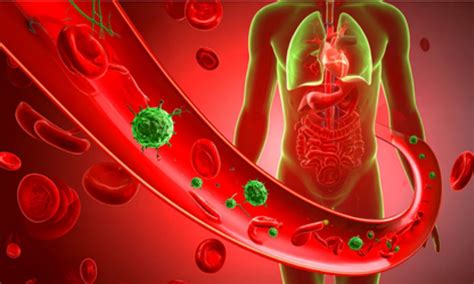 Indian scientists develop new nano-sensor to detect deadly sepsis ...