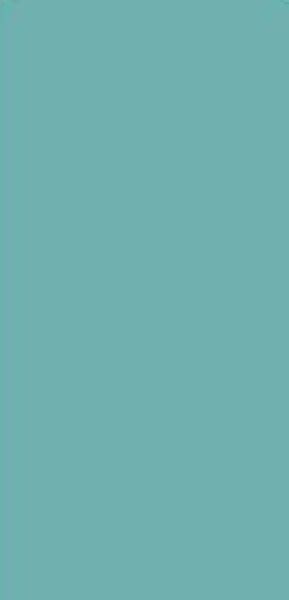 559 HG 8 ft x 4 ft High Gloss Finish Decorative Laminate - 1 mm | 559 ...