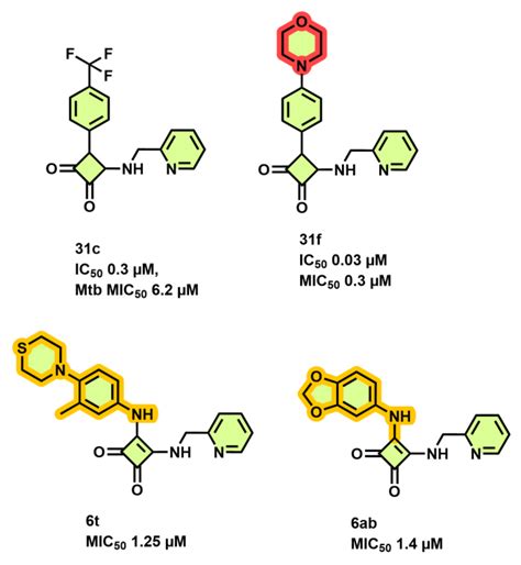 Mycobacterium tuberculosis F-ATP Synthase Inhibitors and Targets