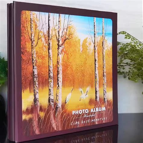 Potenco Photo Album 4x6 500 Photos, Large Capacity travel India | Ubuy