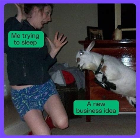 Business Owner Meme 的图像结果