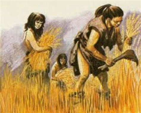 How did earlyman learn farming? - Brainly.in