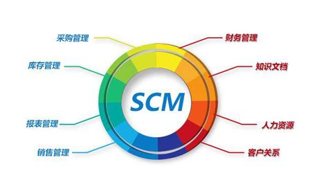 SCM Code 的图像结果