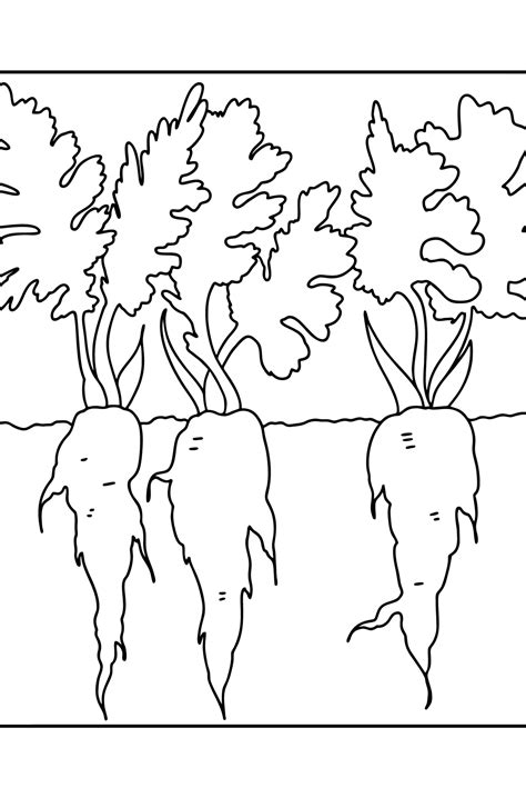 Carrot Coloring pages - Download, Print, and Color Online!