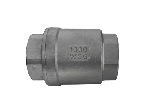 Image result for Stainless Spring Check Valve