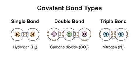 Image result for Covalent Compounds Examples