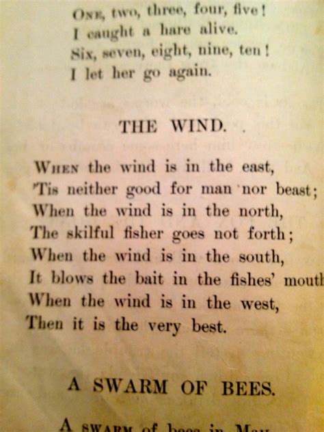 Words That Rhyme With Wind