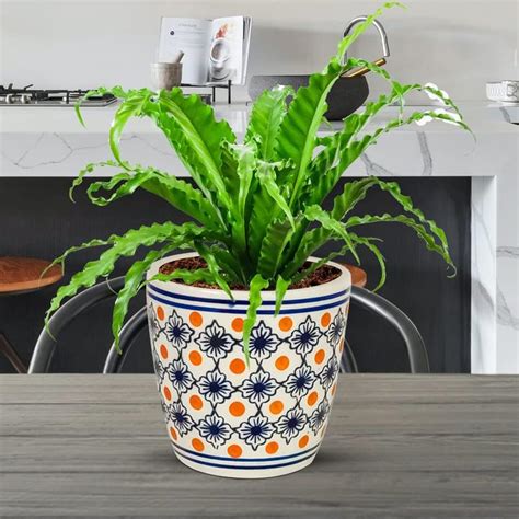 Lasaki Luis 2 Ceramic Pots for Indoor Plants, Planters, Flower, Pots ...