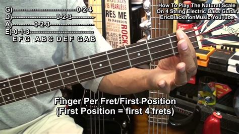 Image result for Beginner Four String Guitar Lessons