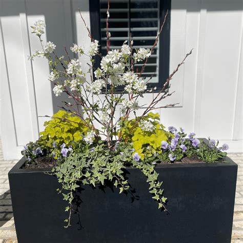 Cross Creek Nursery and Landscape