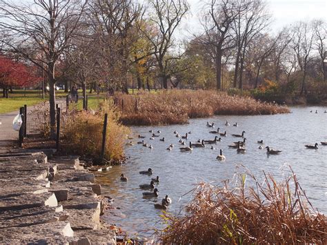Is Humboldt Park Safe 2021 at Becky Uhl blog