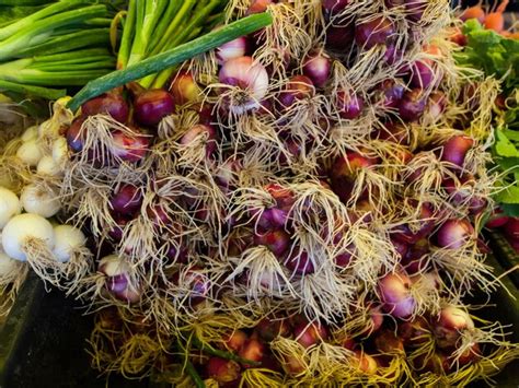 Local Food 的图像结果