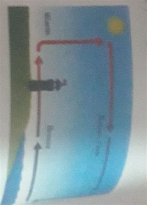 look at the pictures given along side and Identify the type of wind ...