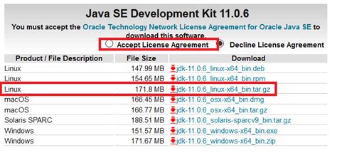 Image result for Java Oracle 11