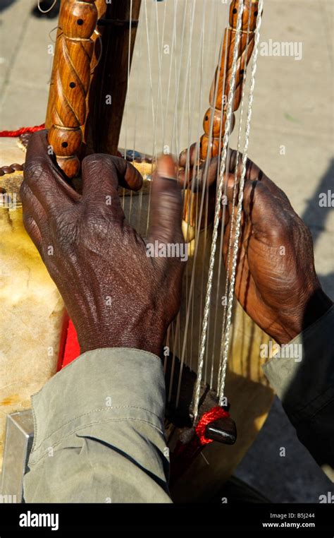 Image result for African String Instruments