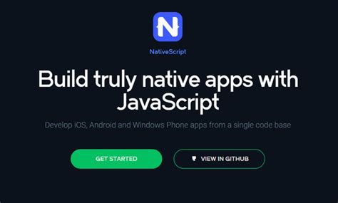 Native JavaScript 的图像结果