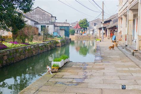 湖州荻港古村（3）-中关村在线摄影论坛