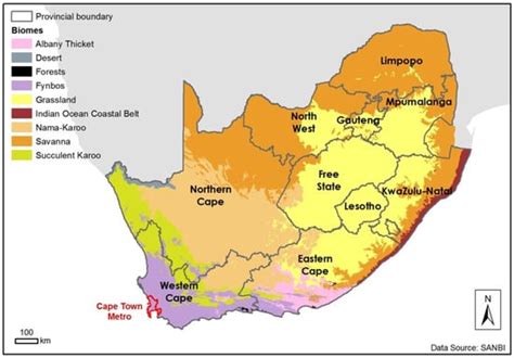 Microbial Communities in the Fynbos Region of South Africa: What ...