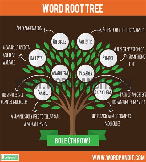 Image result for Root Word Path