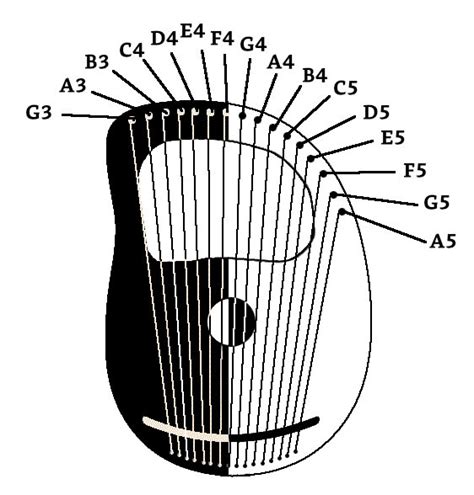 Rezultat imagine pentru Harp String Types