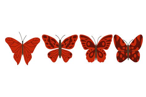 Image result for Butterfly Graph Design