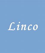 Image result for LiNingCo