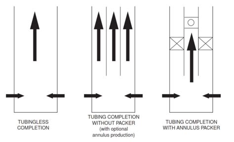 Image result for Parallel Completion Oil Well