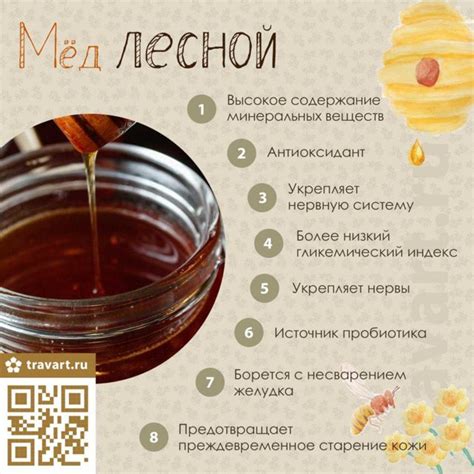 Лесной мед: чем отличается и в чем его польза? - Портал о здоровье
