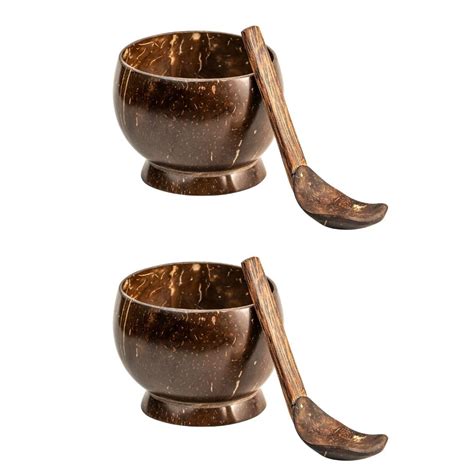 Buy Thenga Coconut Shell Artisan Soup Bowl & Soup Spoon Set | 350 ML ...