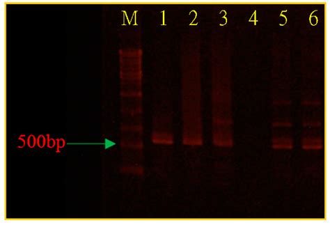 Micromachines | December 2014 - Browse Articles
