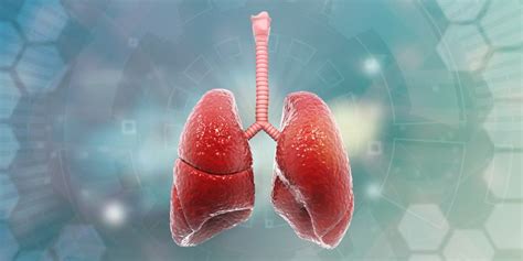 Image result for Respiratory Testing