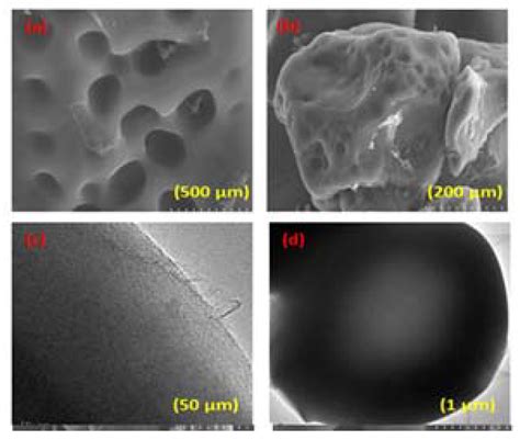 Remediation of Cd (II) Ion from an Aqueous Solution by a Starch-Based ...