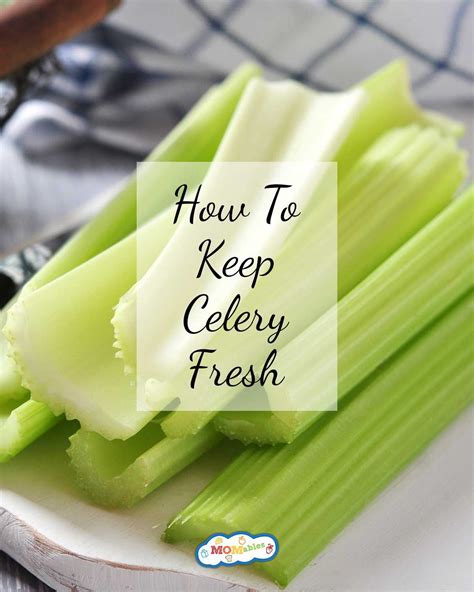 How to keep celery fresh longer the frugal girls – Artofit