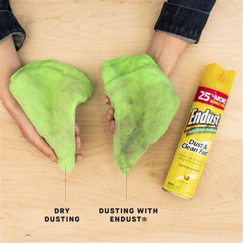 Endust 12.5-oz Lemon Zest Liquid All-Purpose Cleaner 508017-4 at Lowes.com