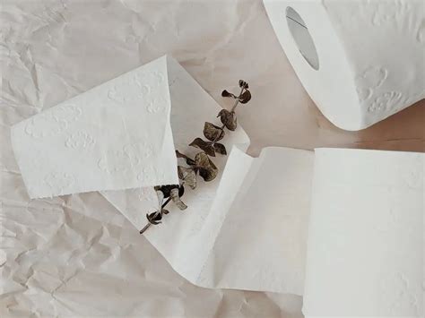 卫生纸原材料是什么 卫生纸原材料是什么制作的_知秀网