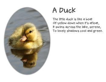 Simile Poems by Cool Teaching Stuff | Teachers Pay Teachers