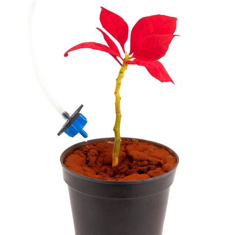 Buy AVISHKAR India DIY Drip Irrigation Kit for Kids - School Science ...