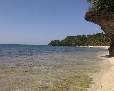 HAGDAN BEACH RESORT (Higatangan Island) - Lodge Reviews & Photos ...