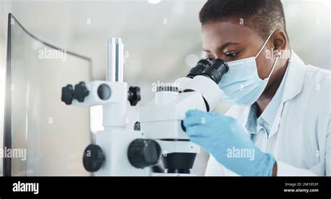 Image result for Using a Microscope Lab