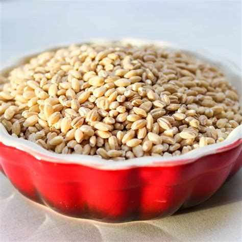 What Is Hulled Barley at William Justice blog