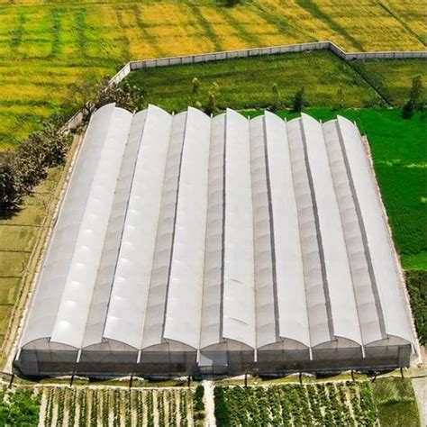 Polyhouse - Fan And Pad Cooled Greenhouse Manufacturer from Hosur