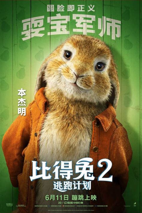 《比得兔2：逃跑计划》萌兔天团登场治愈不开心_娱乐频道_中华网